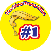 PresidentTrumpWins 02